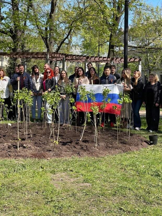 В Симбирском парке Петербурга высадили 80 саженцев сирени