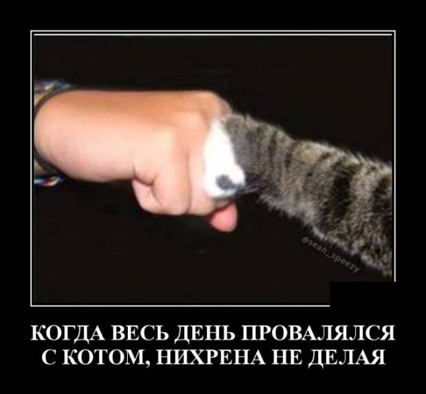 Демотиваторы (30 фото)
