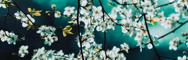 Как подготовить организм к весне. ТОП-7 полезных советов