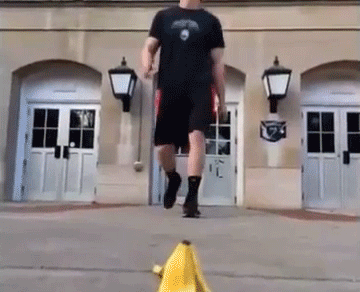 vine compilation