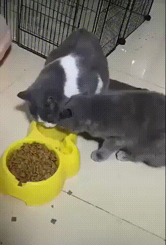 Прикольные гифки
