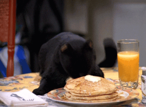 Food GIF - Find & Share on GIPHY