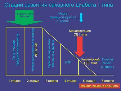 сах развитие (390x292, 14Kb)