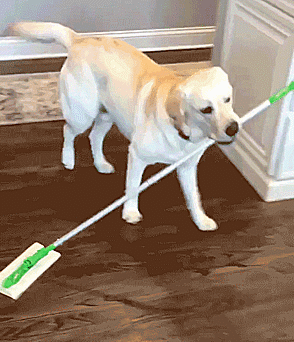Mom’s Little Helper