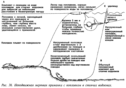 Ловля в реках на неподвижную мертвую приманку с поплавком