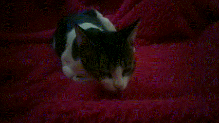 Гифки с юмором