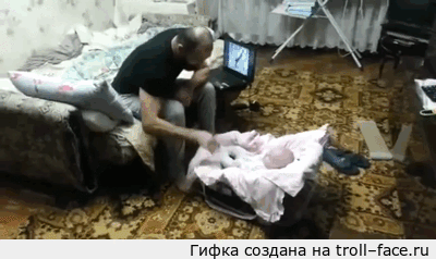 Коты защищают детей