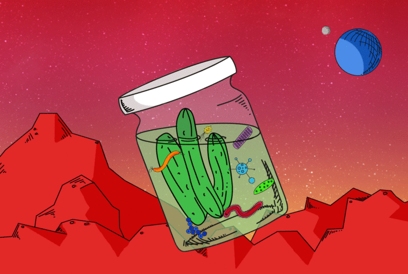 Cool, There’s Water on Mars. But Does It Make Good Pickles?