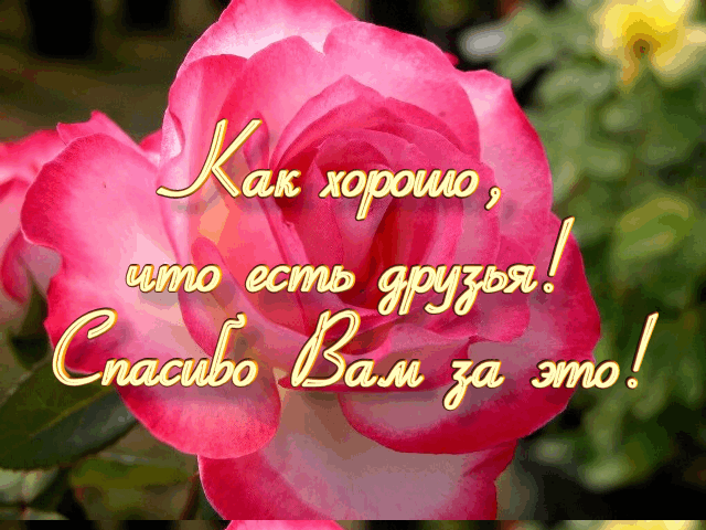 0b029c6a8f74b33caba59433350e856a (640x480, 782Kb)