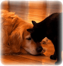 Урегулирование конфликта