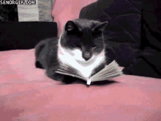 кот читает