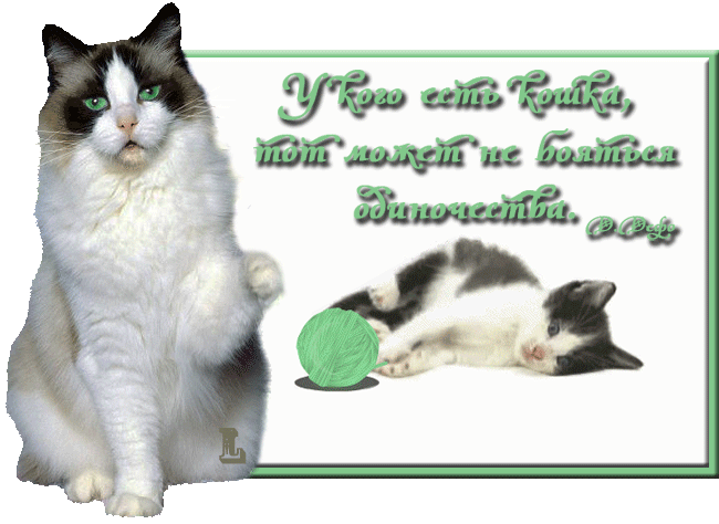 1 марта День кошек - стихи и открытки