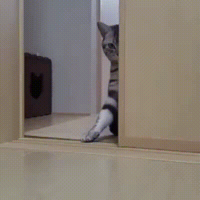 Подойди, не бойся. Подойди, не бойся.