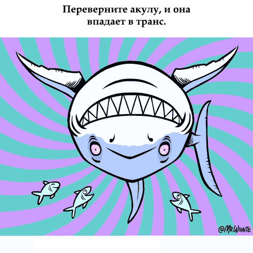 Занимательная зоология