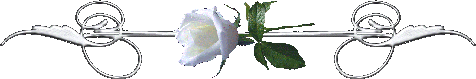 19 (476x79, 11Kb)