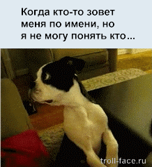 Блоги. Жизненные ситуации в подборке гифок Блоги. Жизненные ситуации в подборке гифок